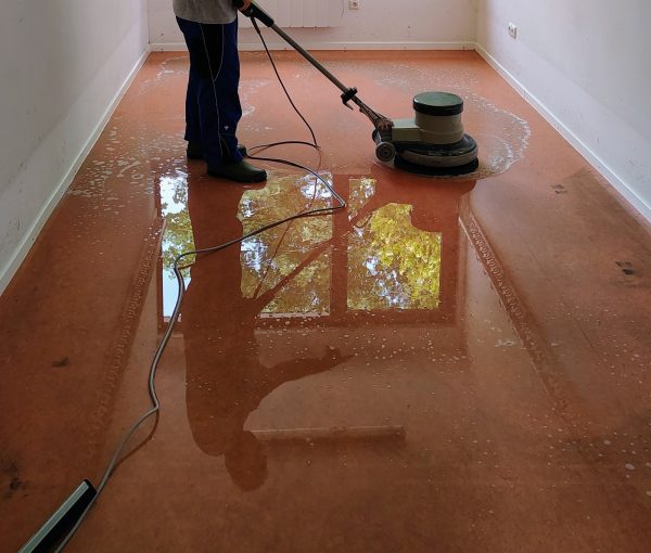 WhatsApp Image 2025-10-09 at 19.53.01_1fa0d649